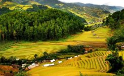 Khu du lịch sinh thái Mai Châu - Hòa Bình