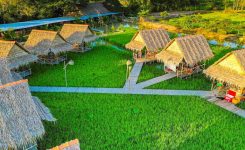 Khuôn viên của khu du lịch sinh thái ẩm thực Mỹ Phước Thành khá rộng lớn, mang vẻ đẹp bình yên và rất thanh bình.