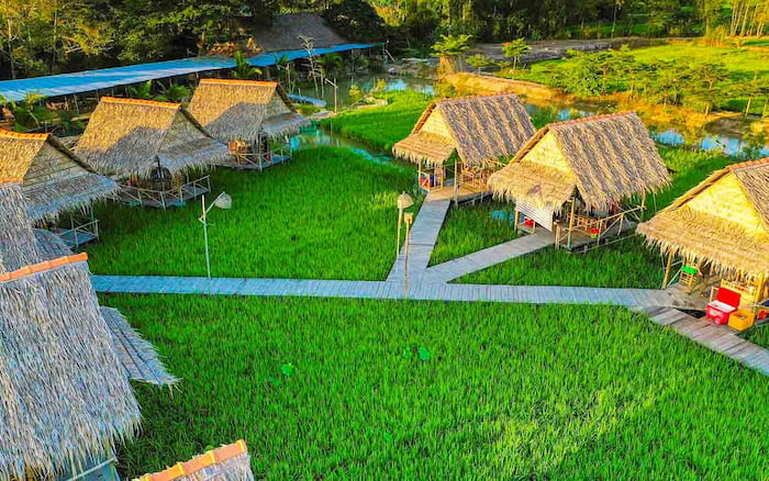 Bao quanh khu du lịch là những hồ sen, ruộng lúa, tái hiện lại khung cảnh của một làng quê yên bình